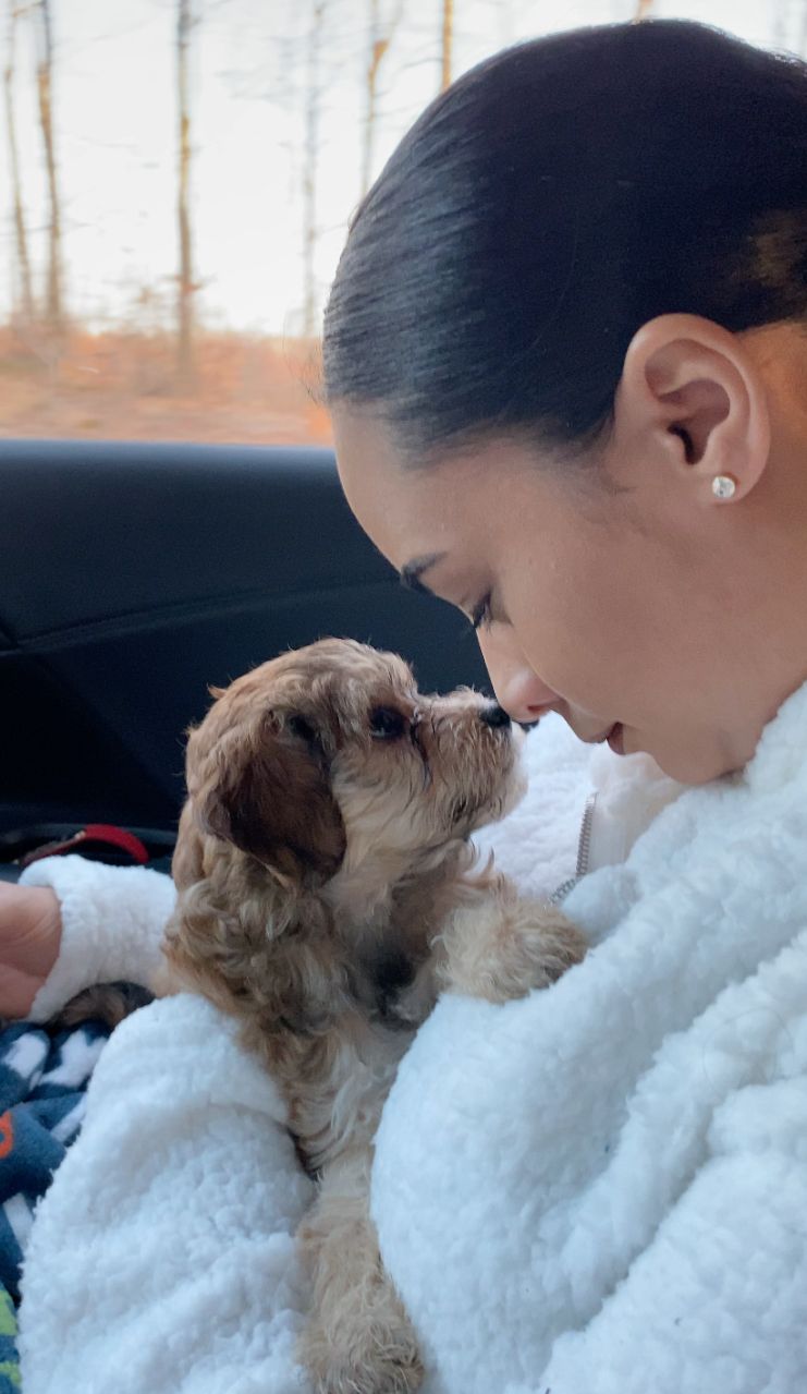A new owner gently kissing her Toy Poodle mix puppy on the nose