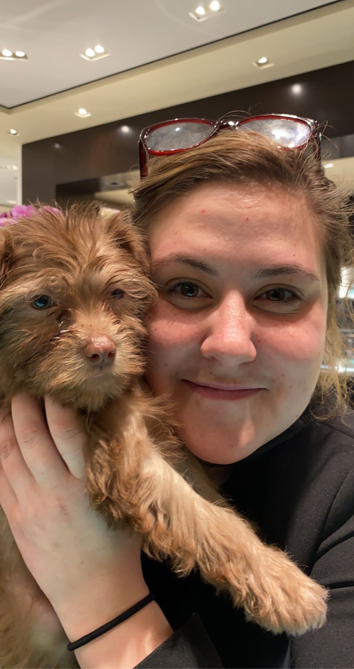 A new owner smiling with her apricot Toy Poodle mix puppy