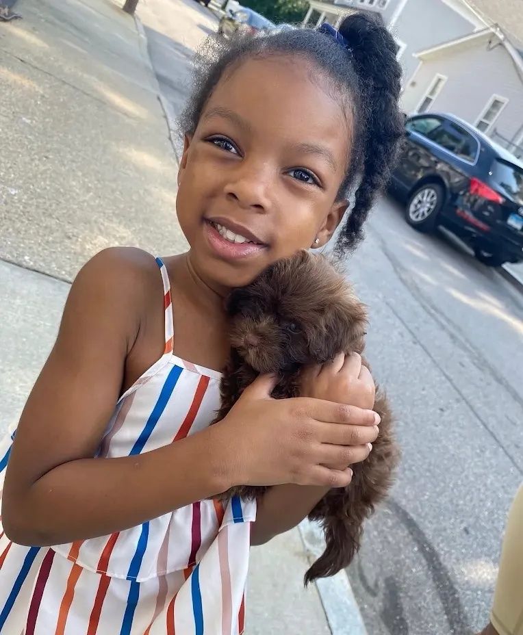 A young girl smiling outdoors while holding her chocolate Toy Poodle mix puppy